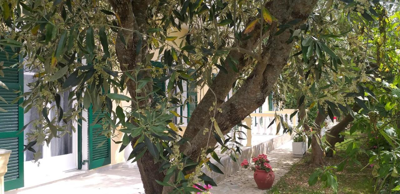 Kapetanios Luxury * Agios Georgios (Corfu)